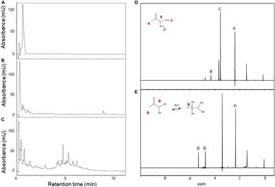 The Role of Glycation on the Aggregation Properties of IAPP